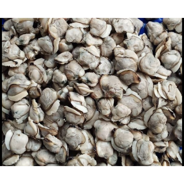 Premium Clams Large / Kakka Irachi 500 gm